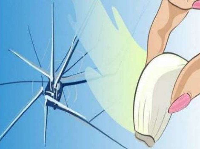  كيف تصلحون الزجاج المتشقق بواسطة فص ثوم ؟