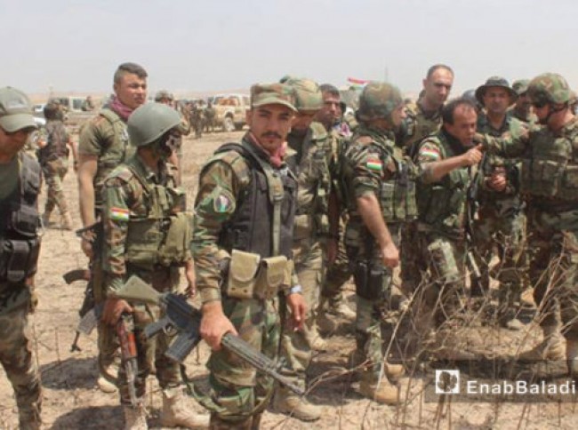 قيادي كردي : سوف ندخا سوريا قريبا " __ما صحة ذلك 